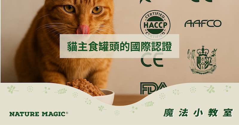 貓主子吃什麼最好？來聊聊貓主食罐頭的國際認證！