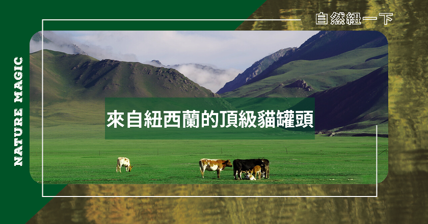 來自紐西蘭的頂級貓罐頭 | Nature Magic自然魔法