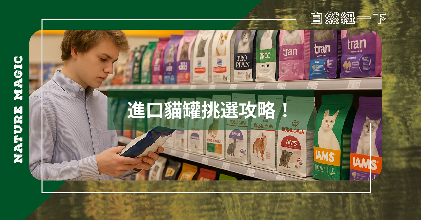 進口貓罐產地大揭密｜紐西蘭、美國、泰國、加拿大、德國的特色與挑選攻略